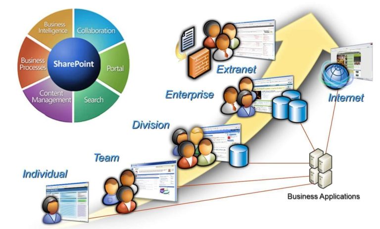 Why Business Use SharePoint